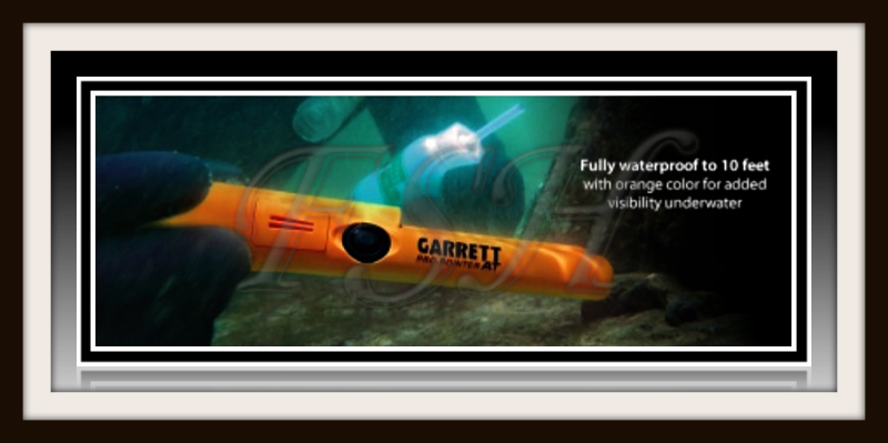 FSH  Garrett Pro-Pointer AT 